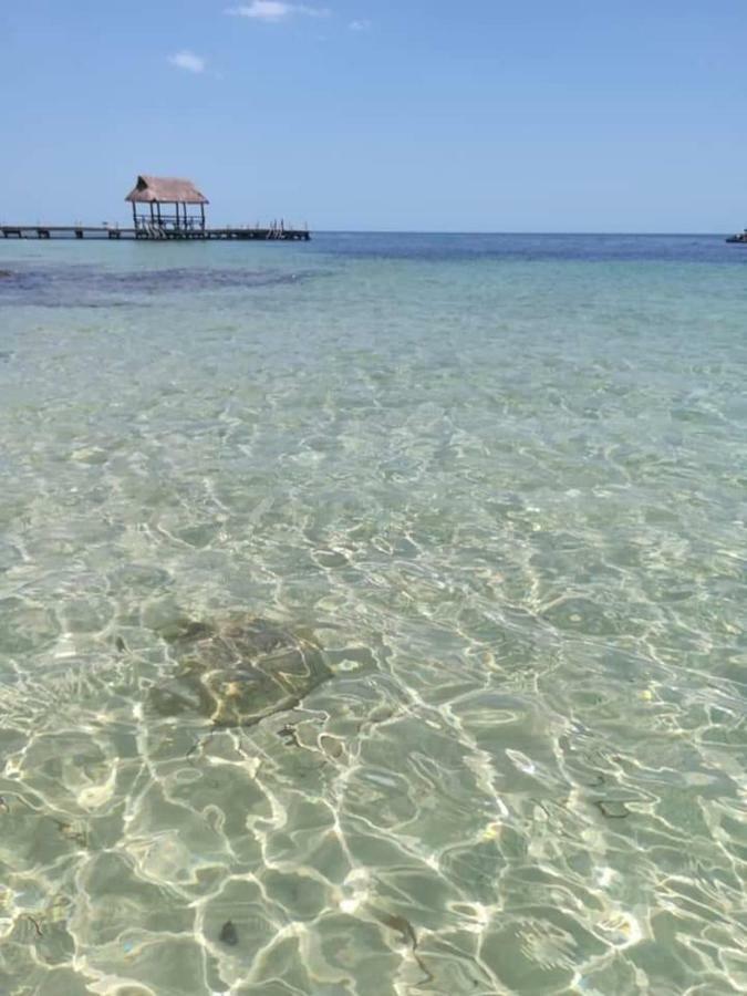 カンペチェTorre Aguamarinaアパートメント エクステリア 写真